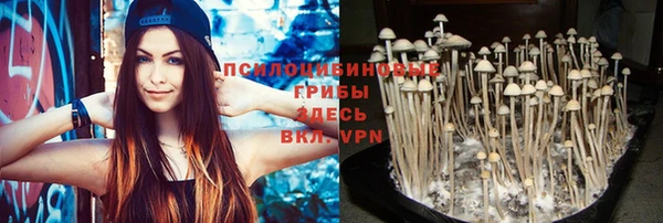 прущая мука Карпинск